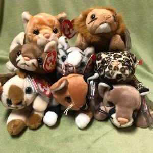 Lot of 8 Beanie Baby cats
